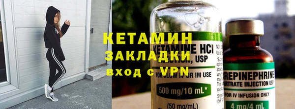 прущие грибы Пересвет