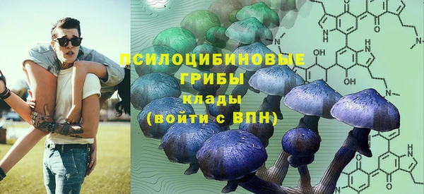 твердый Балахна