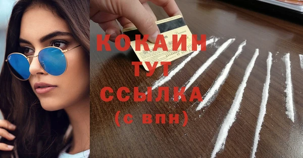 твердый Балахна