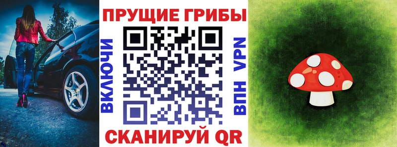 blacksprut маркетплейс  Красково  Галлюциногенные грибы Psilocybe 